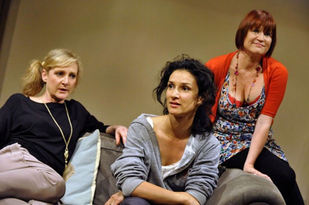 Lesley Sharp, Indira Varma and Lisa Palfrey in Ingredient X. Photo: Keith Pattison